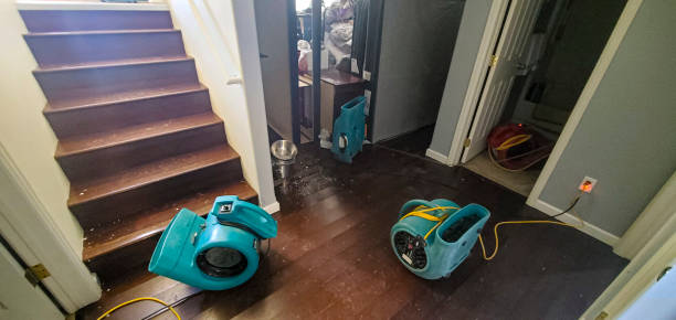 Best 24/7 water damage repair  in Crownpoint, NM