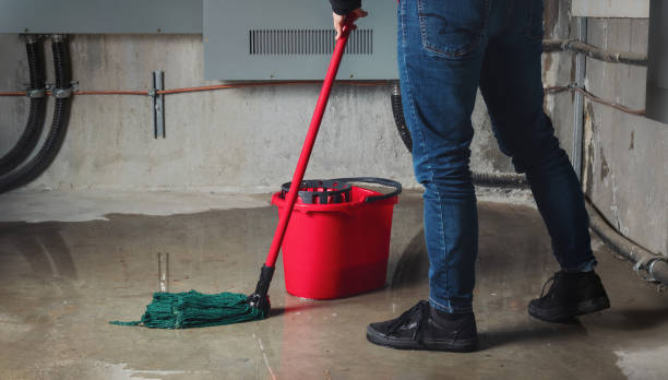 Best Ceiling water damage repair  in Crownpoint, NM