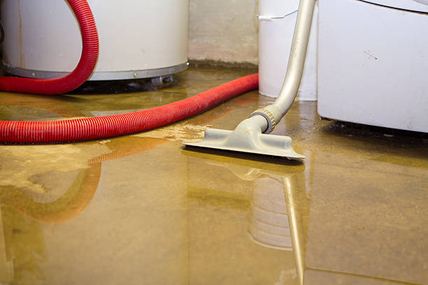 Best Water damage cleanup near me  in Crownpoint, NM