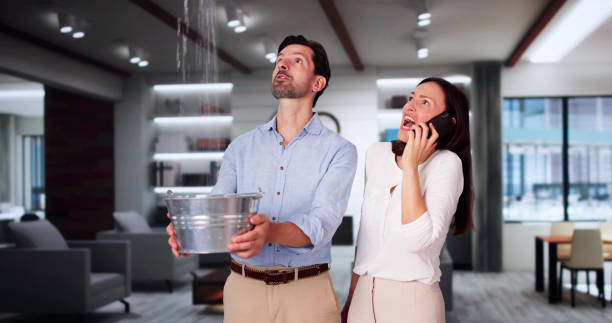 Best Water damage mitigation services  in Crownpoint, NM