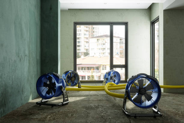 Best Flood restoration services  in Crownpoint, NM